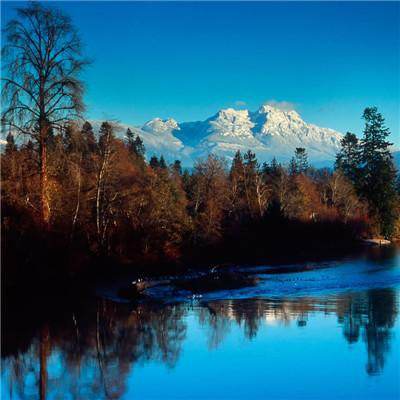 乐鱼app下载app下载