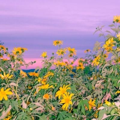 狗万官网下载手机版